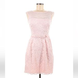 WHBM | Light Pink Tulip Lace Midi Dress